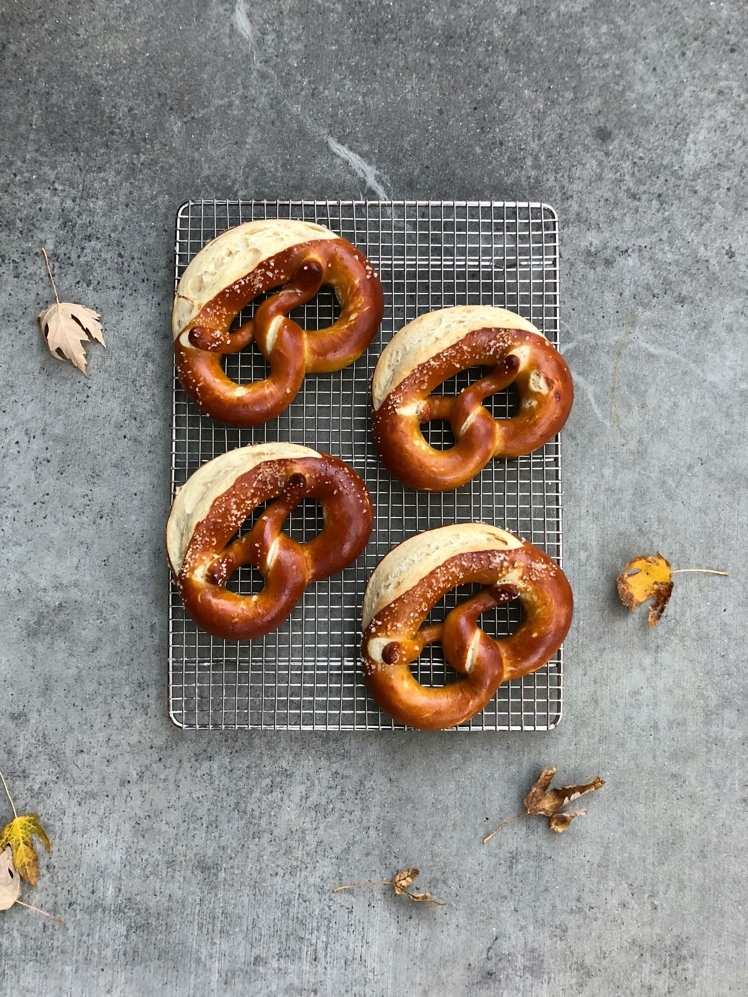 Freshly baked Bavarian pretzels on a cooling rack