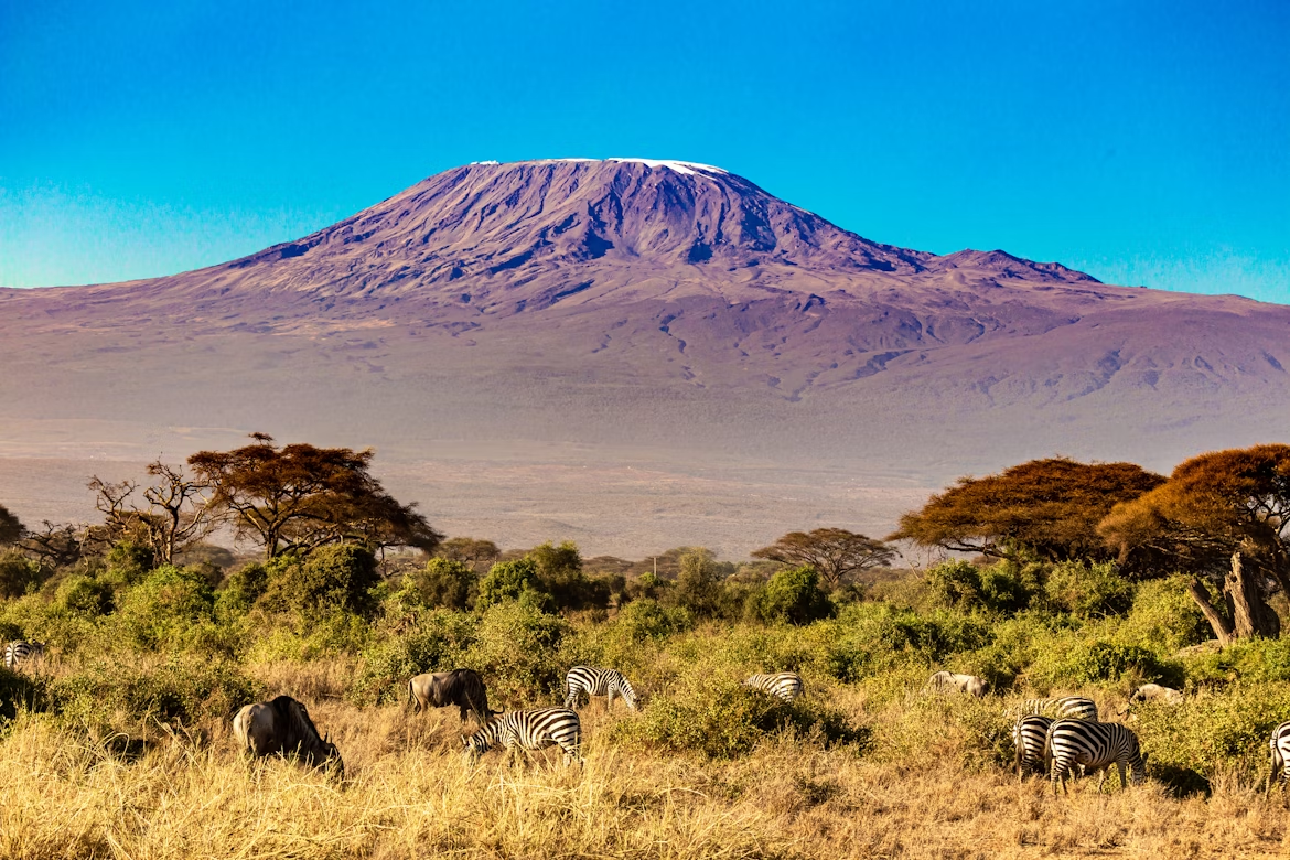 Mount Kilimanjaro with zebras in the foreground