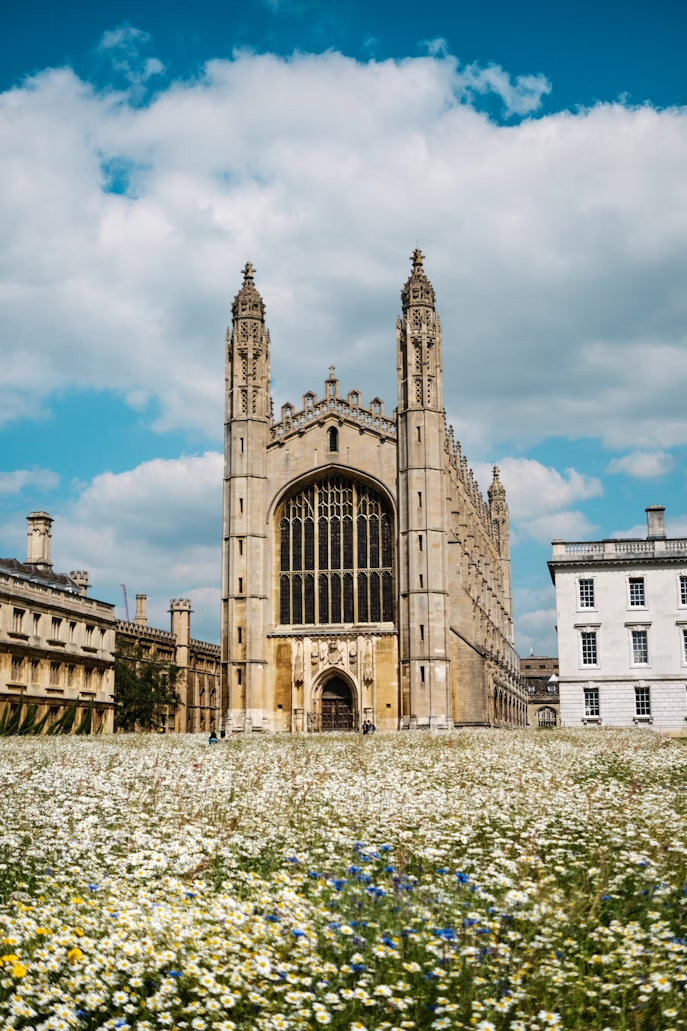 Cambridge University with a meadow of flowers in the foreground