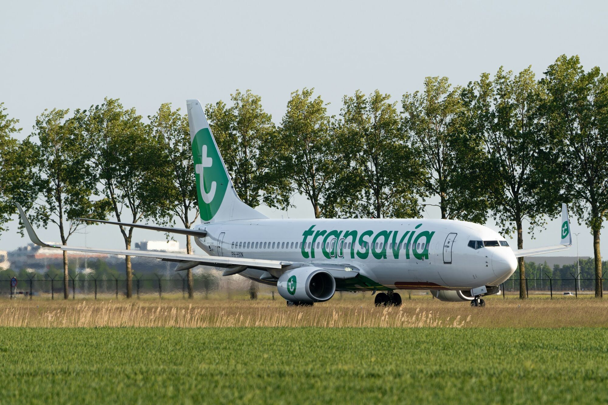 Transavia aircraft taxiing on a sunny day
