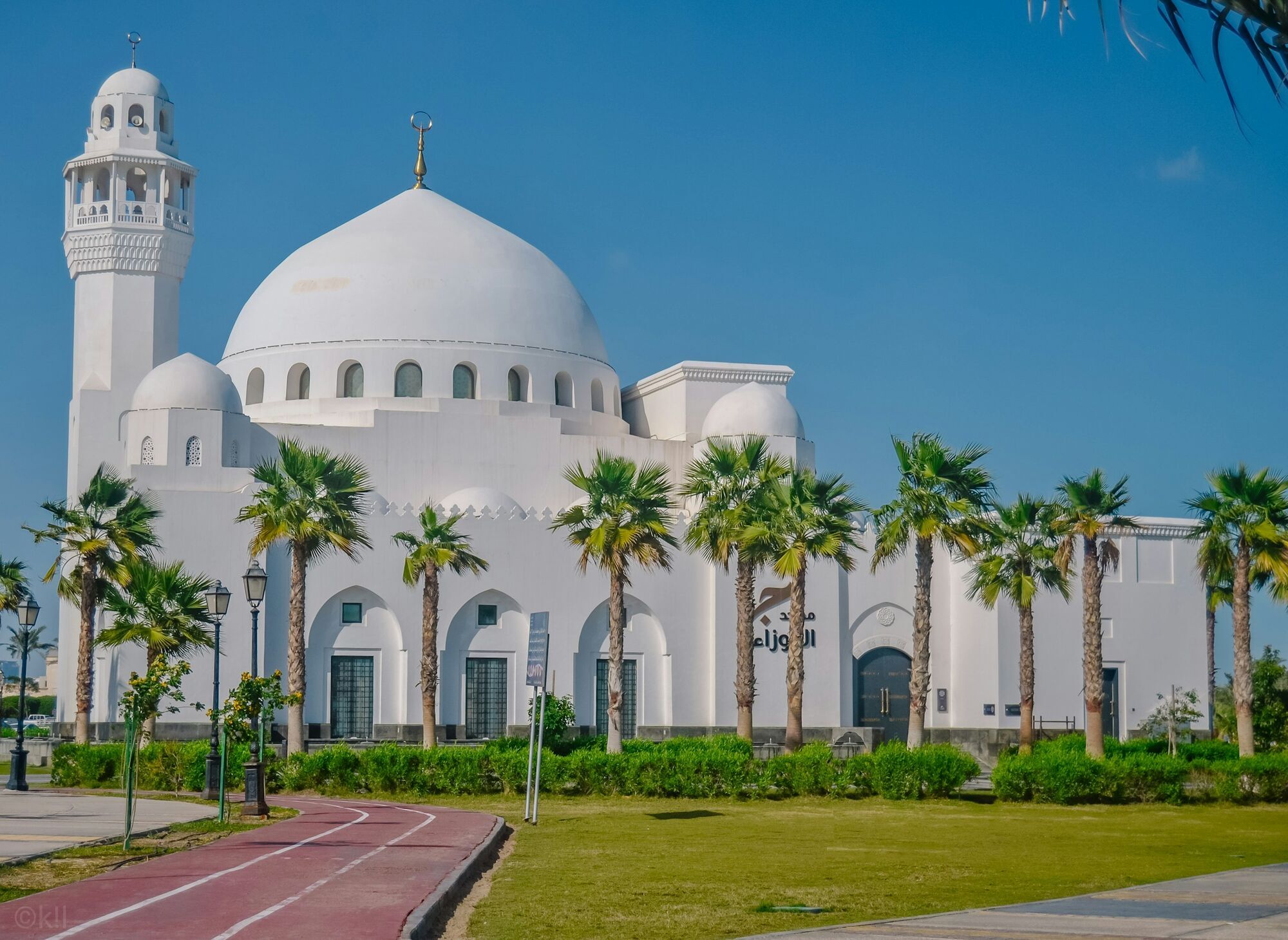 Mosque and palm trees in Middle Eastern city