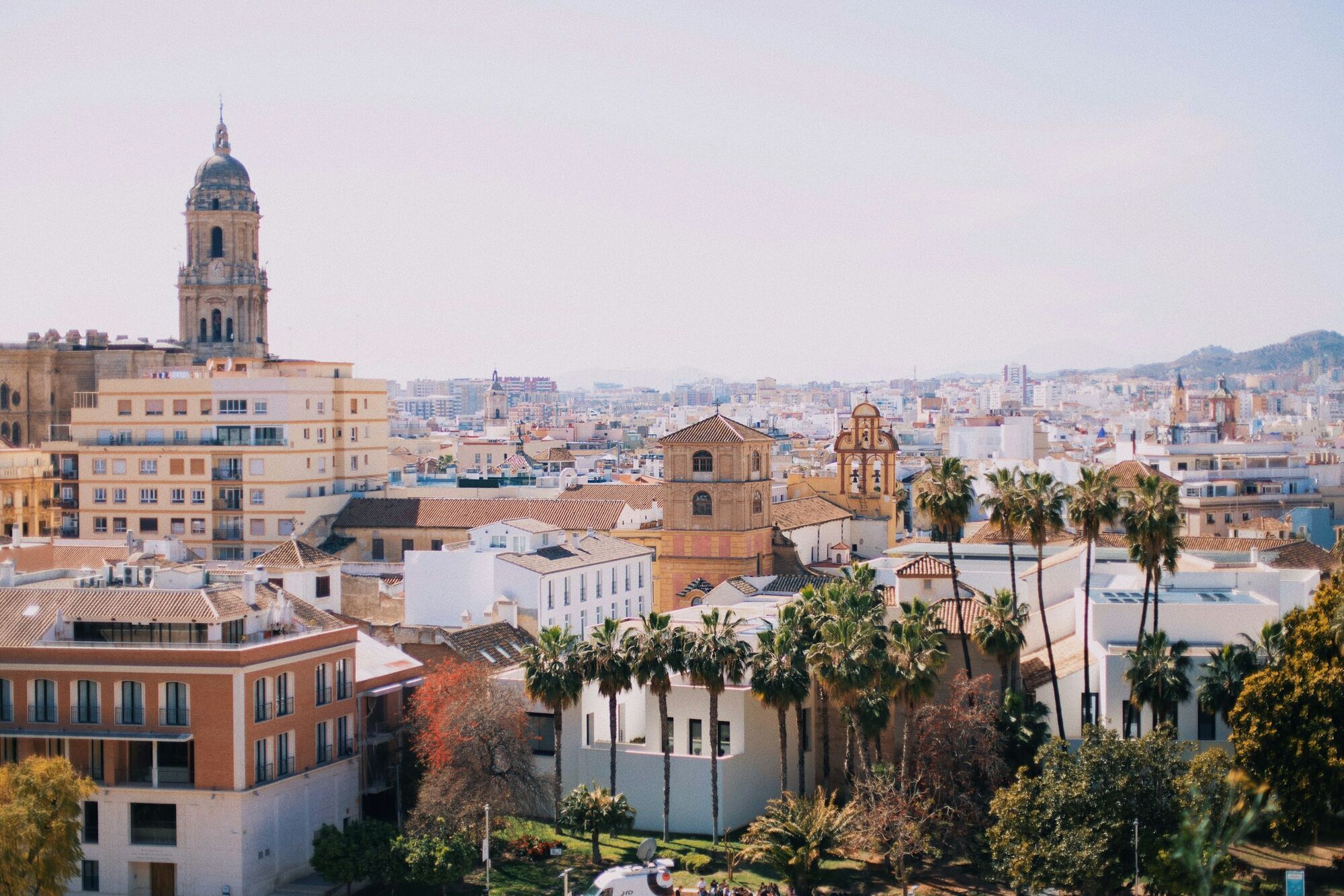 Malaga skyline with cathedral and palm trees
