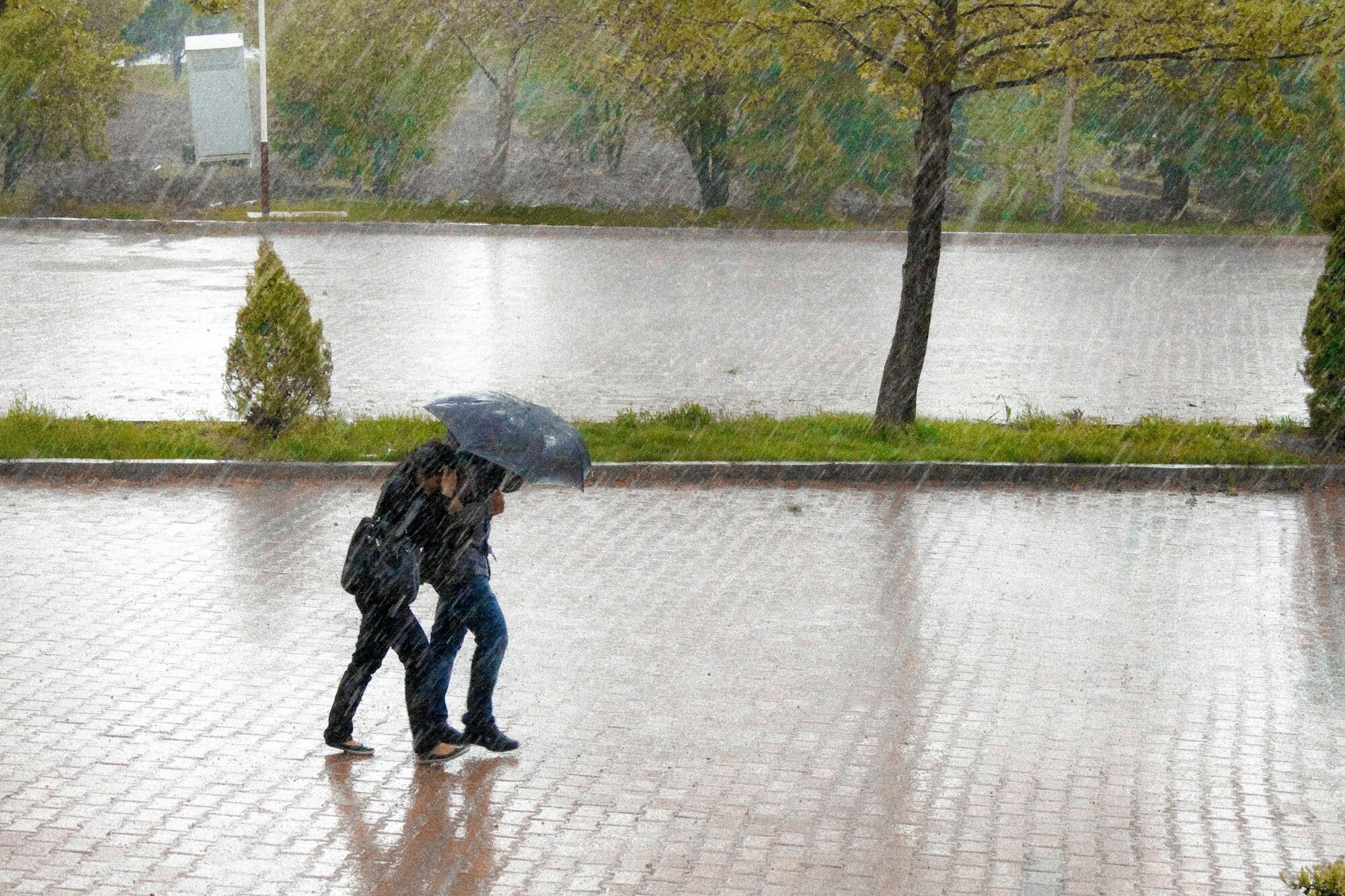 Two pedestrians walking under umbrella in rain