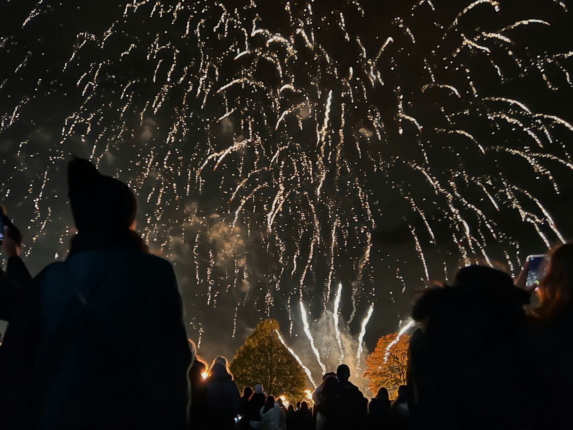 Spectators watching golden fireworks in the night sky