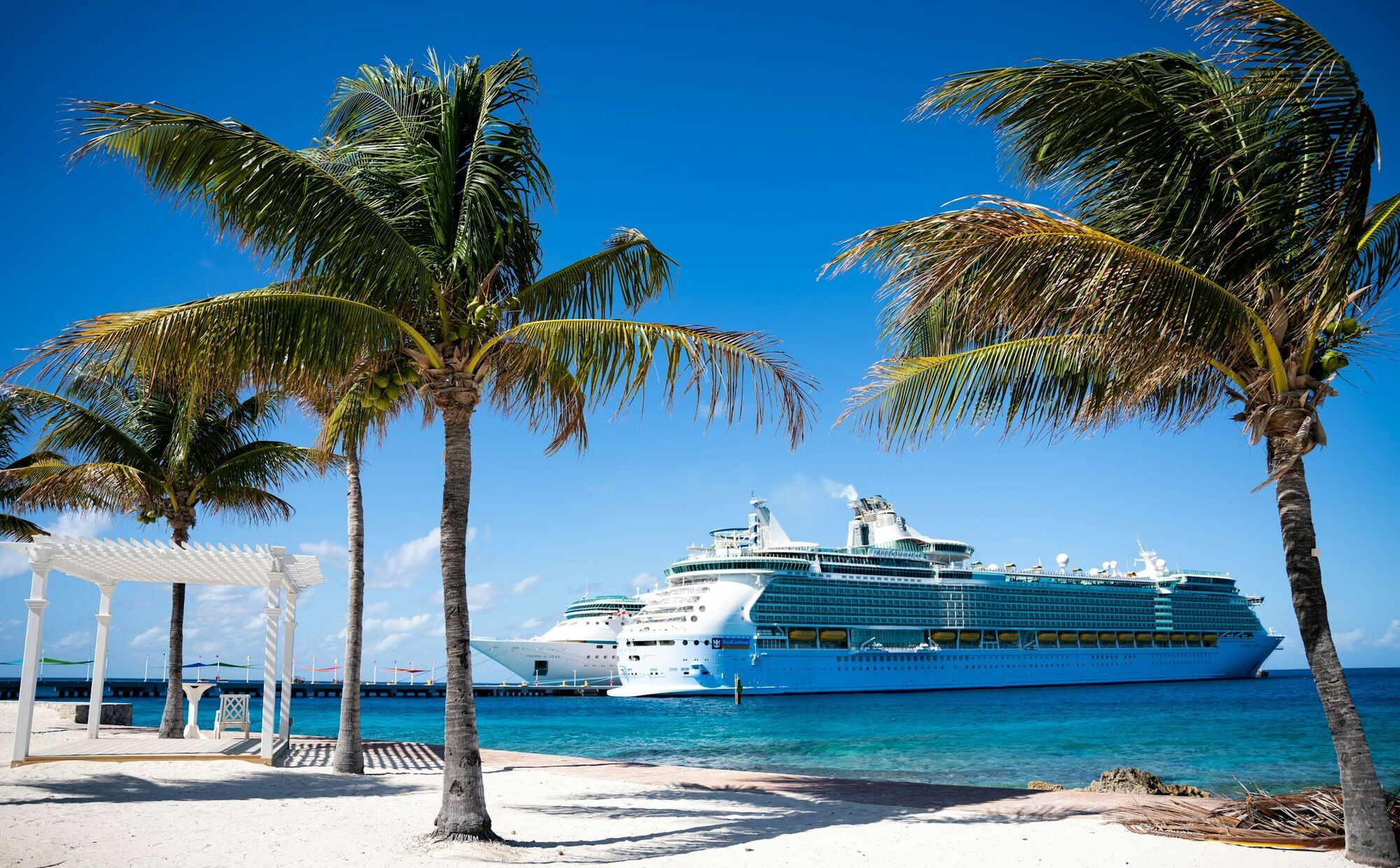 Two cruise ships near a palm-lined beach