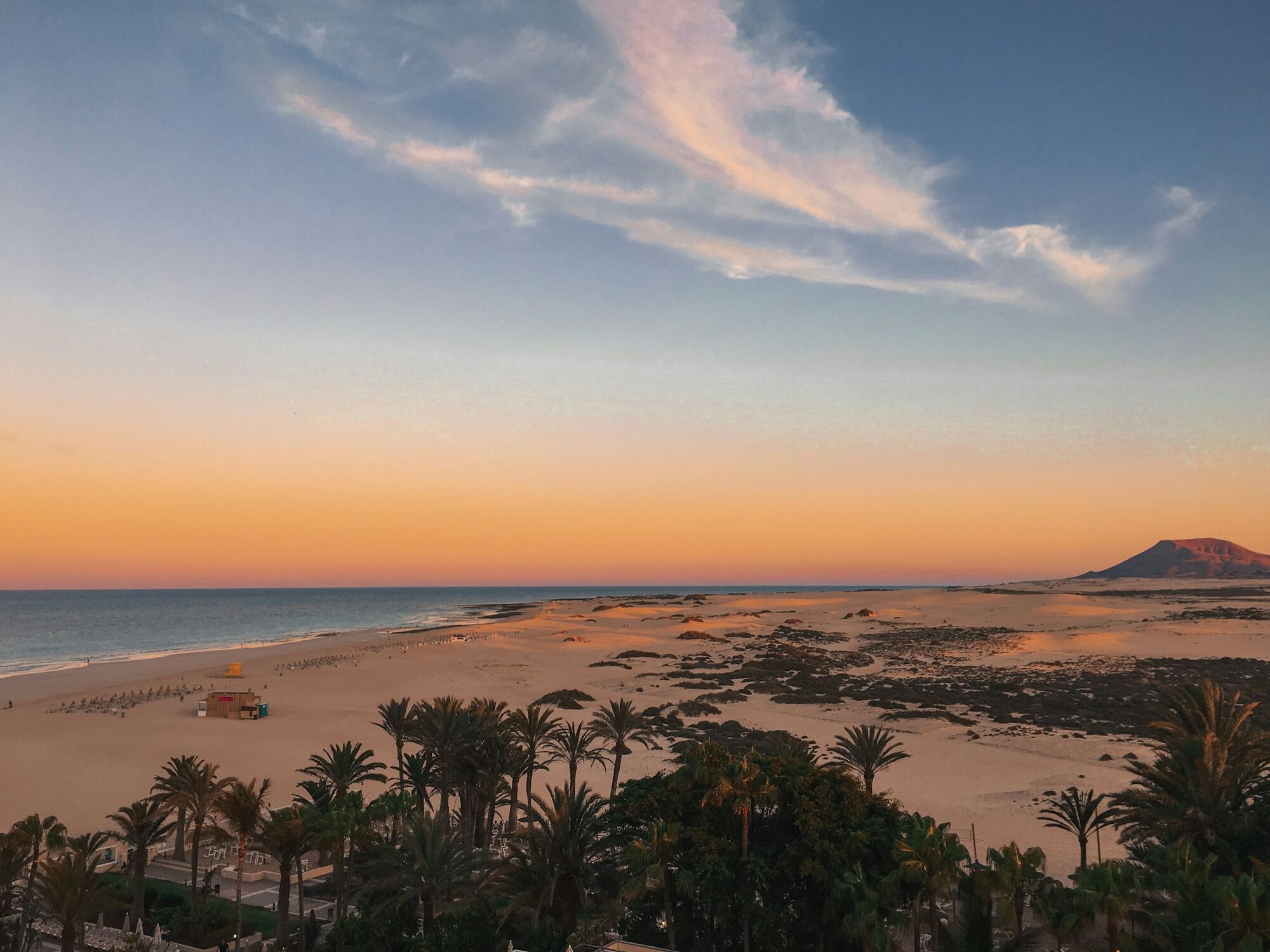 Fuerteventura beach and sand dunes at sunset with palm trees