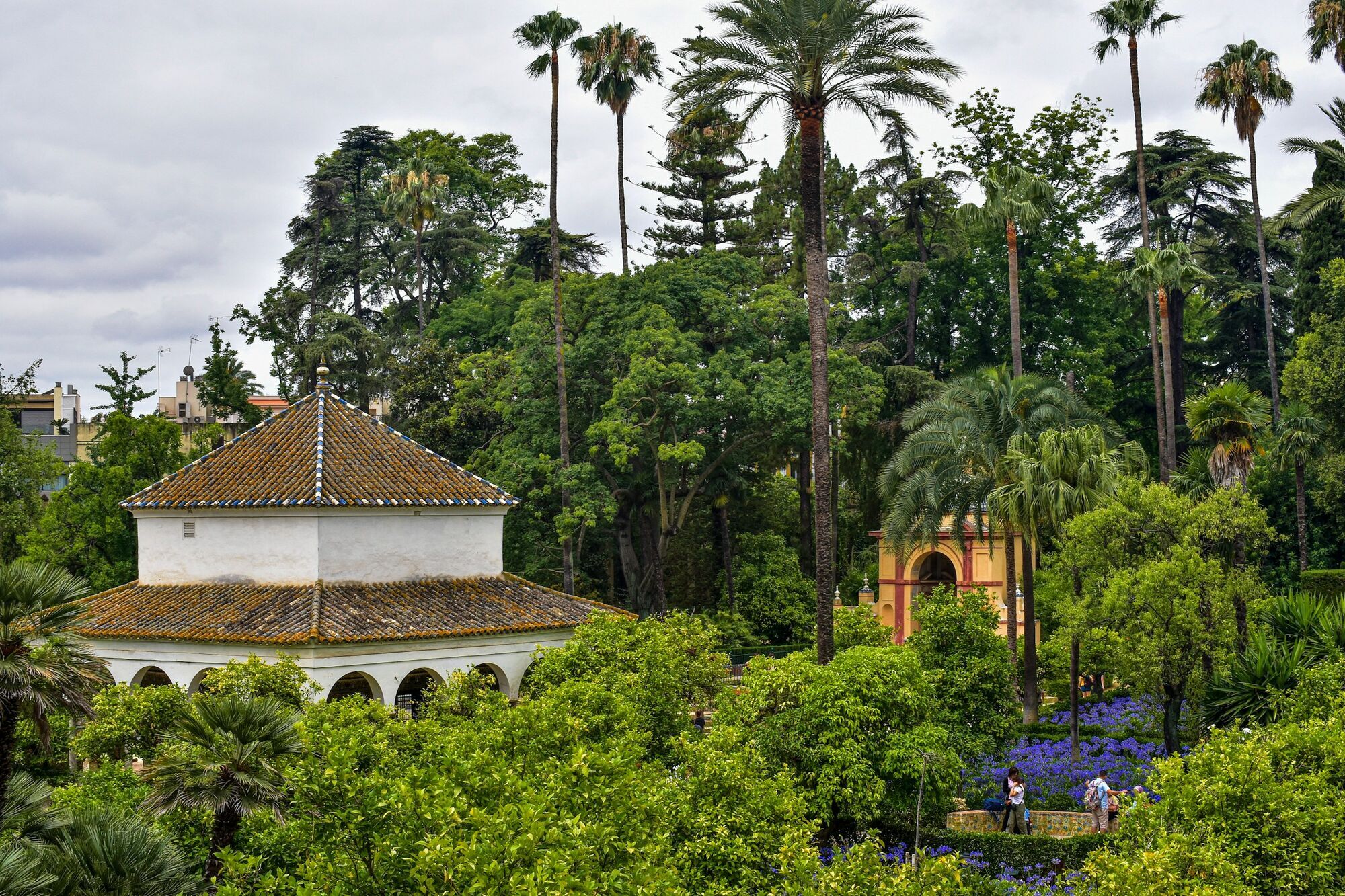 Garden pavilion surrounded by palm trees and greenery in Seville