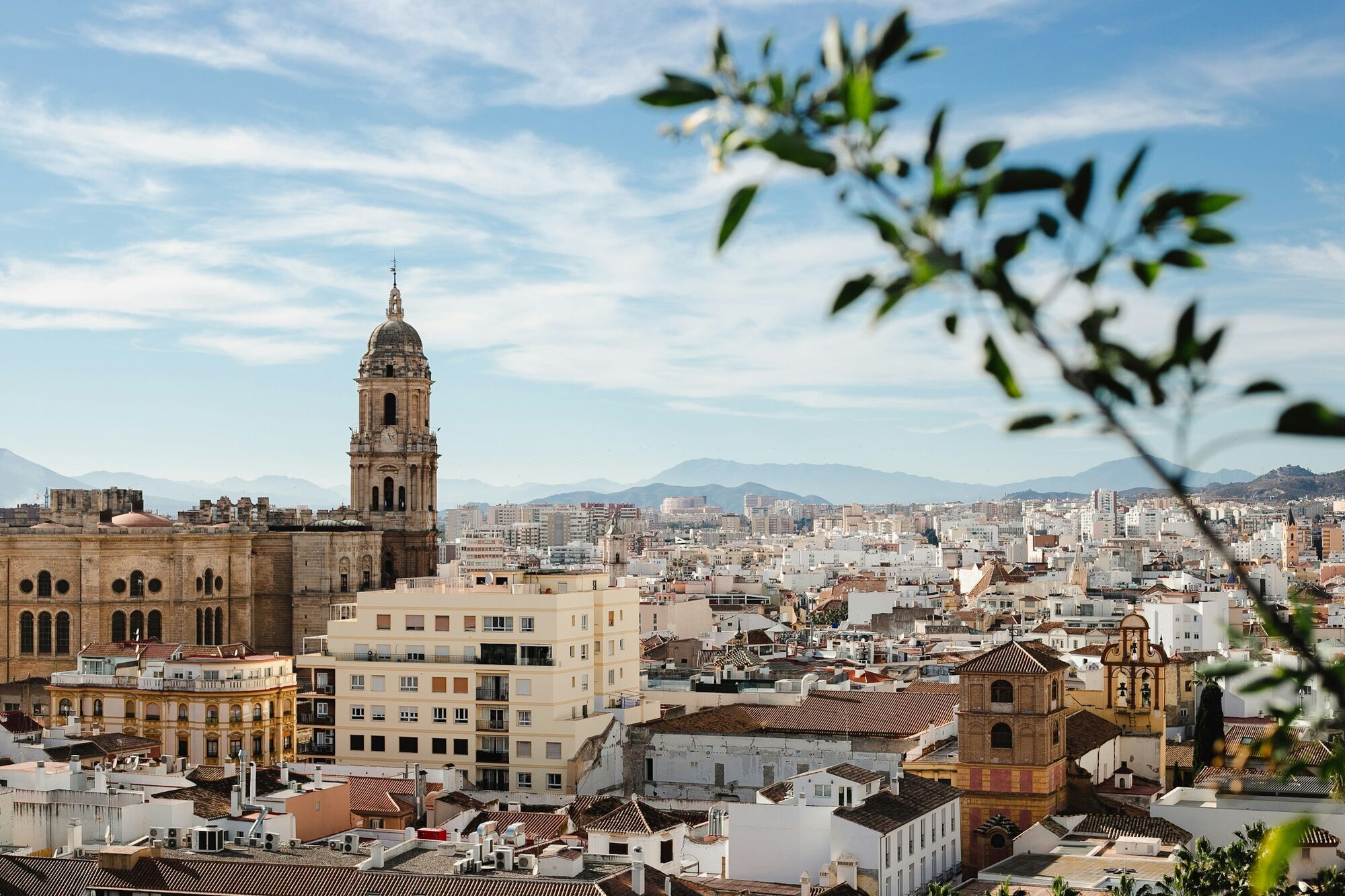 Panoramic view of Málaga's historic centre with its cathedral and surrounding buildings