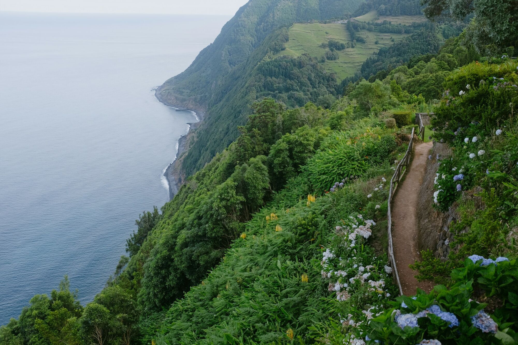Green coastal hiking path along cliffs on an Atlantic island
