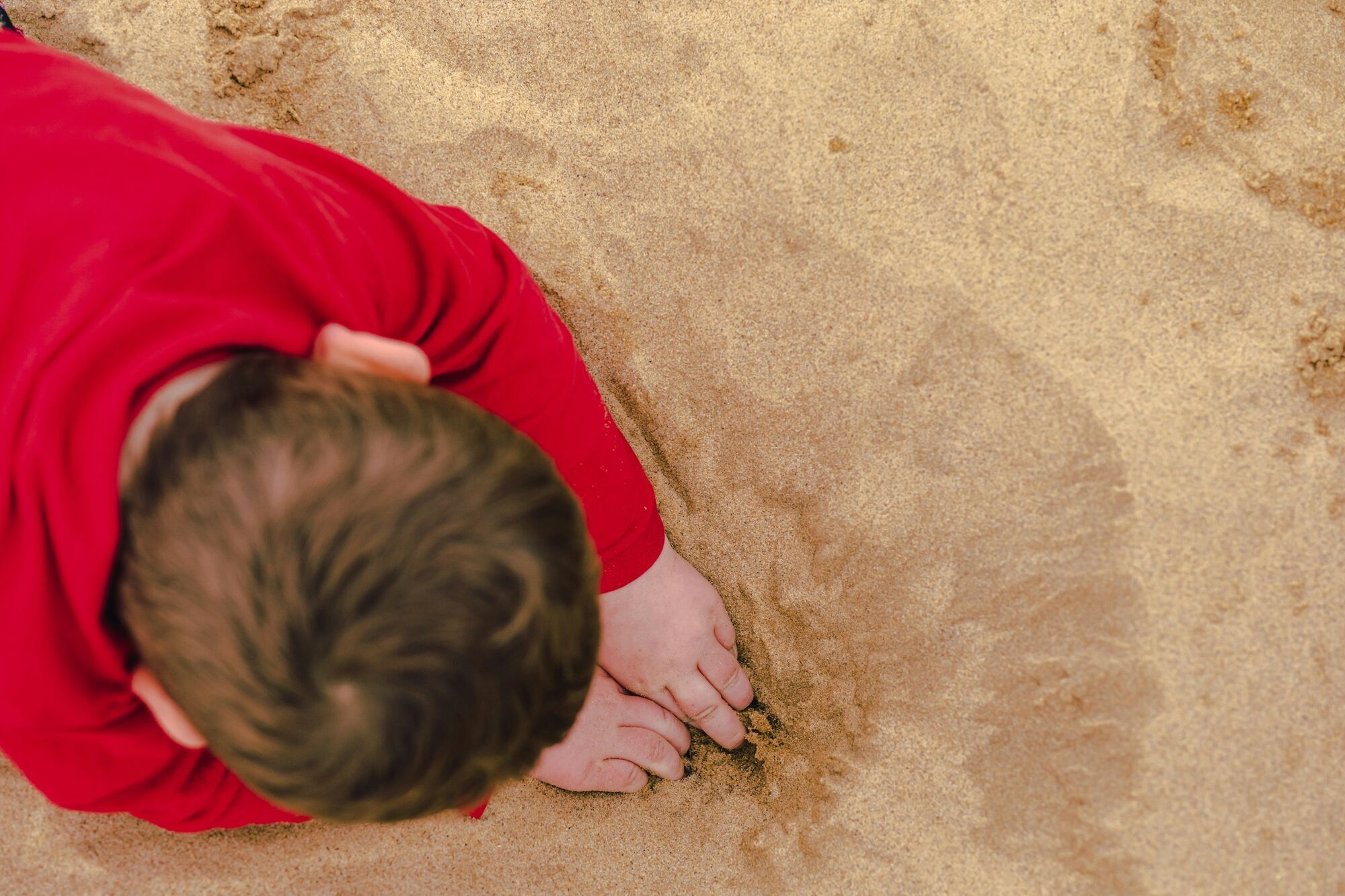 Child digging shallow hole in beach sand