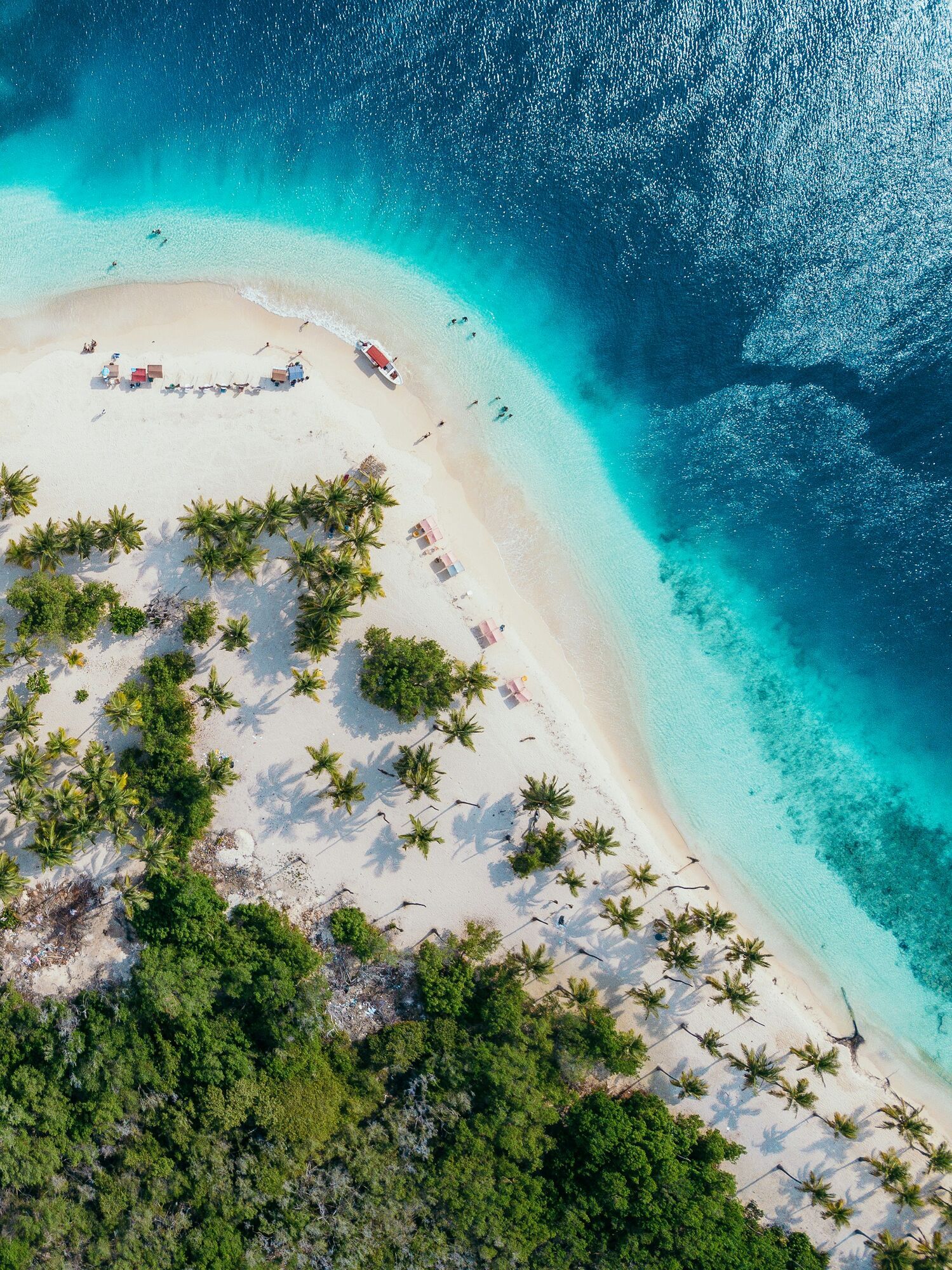 Aerial view of a Caribbean beach