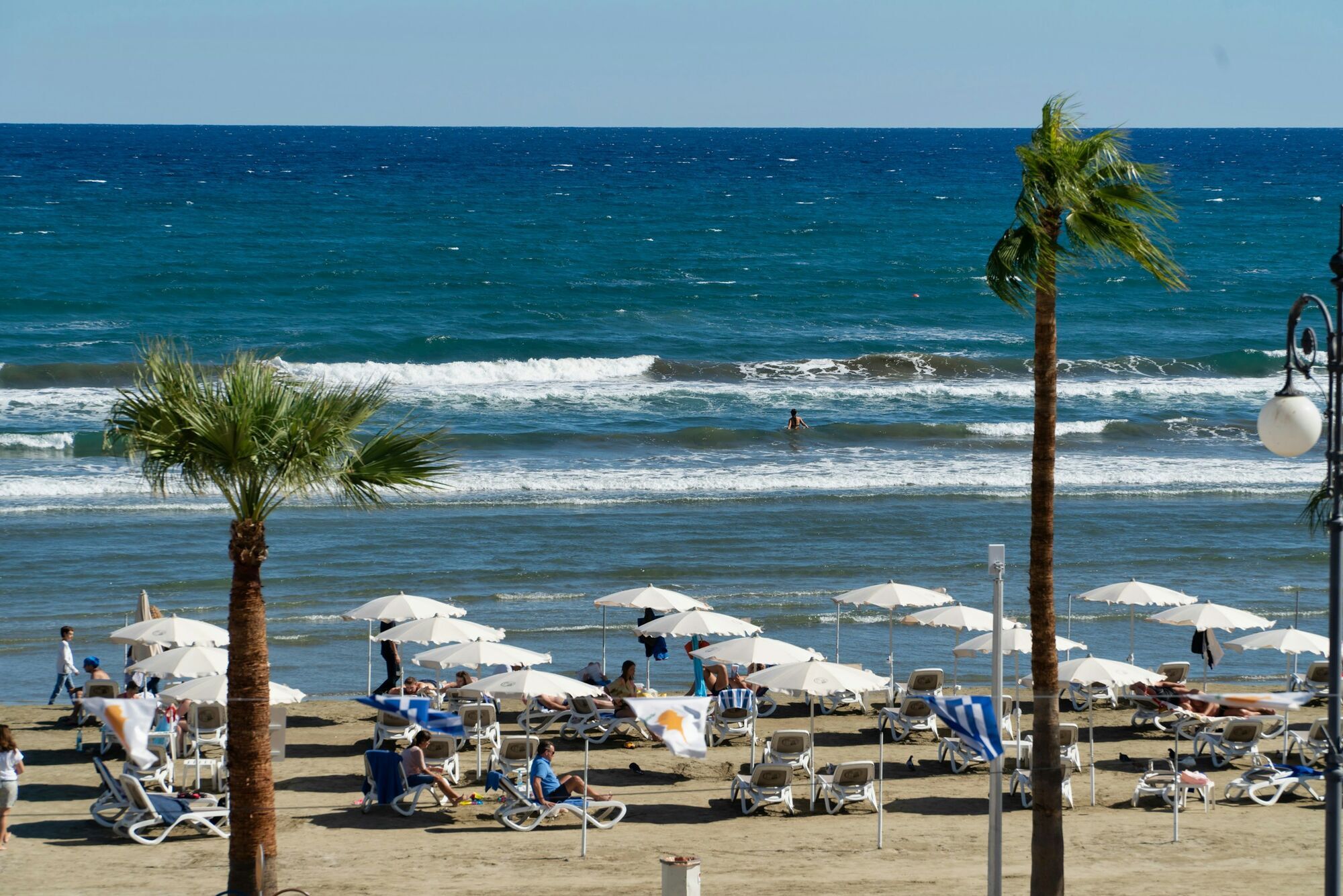 Beach in Larnaca with palm trees and sun loungers