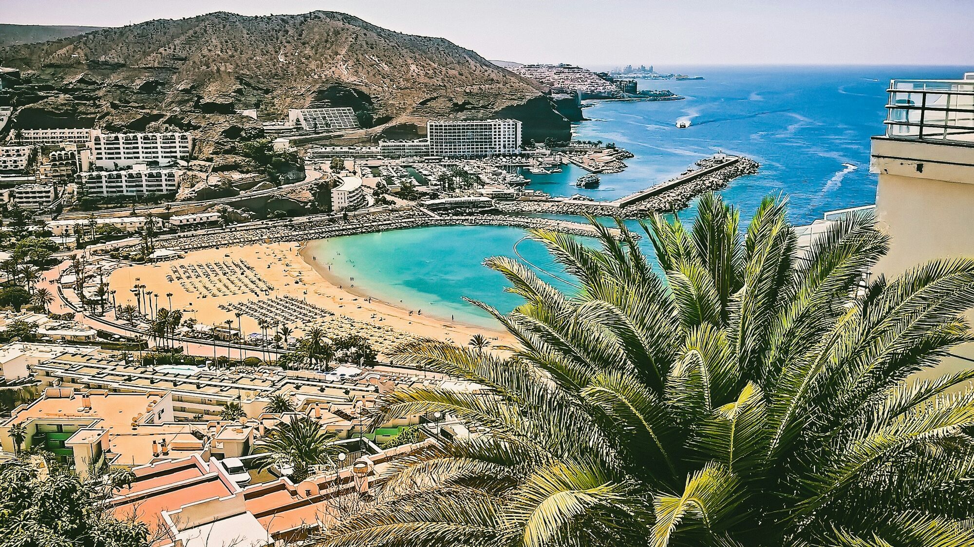 Canary Islands beach with palm trees and coastal hotels
