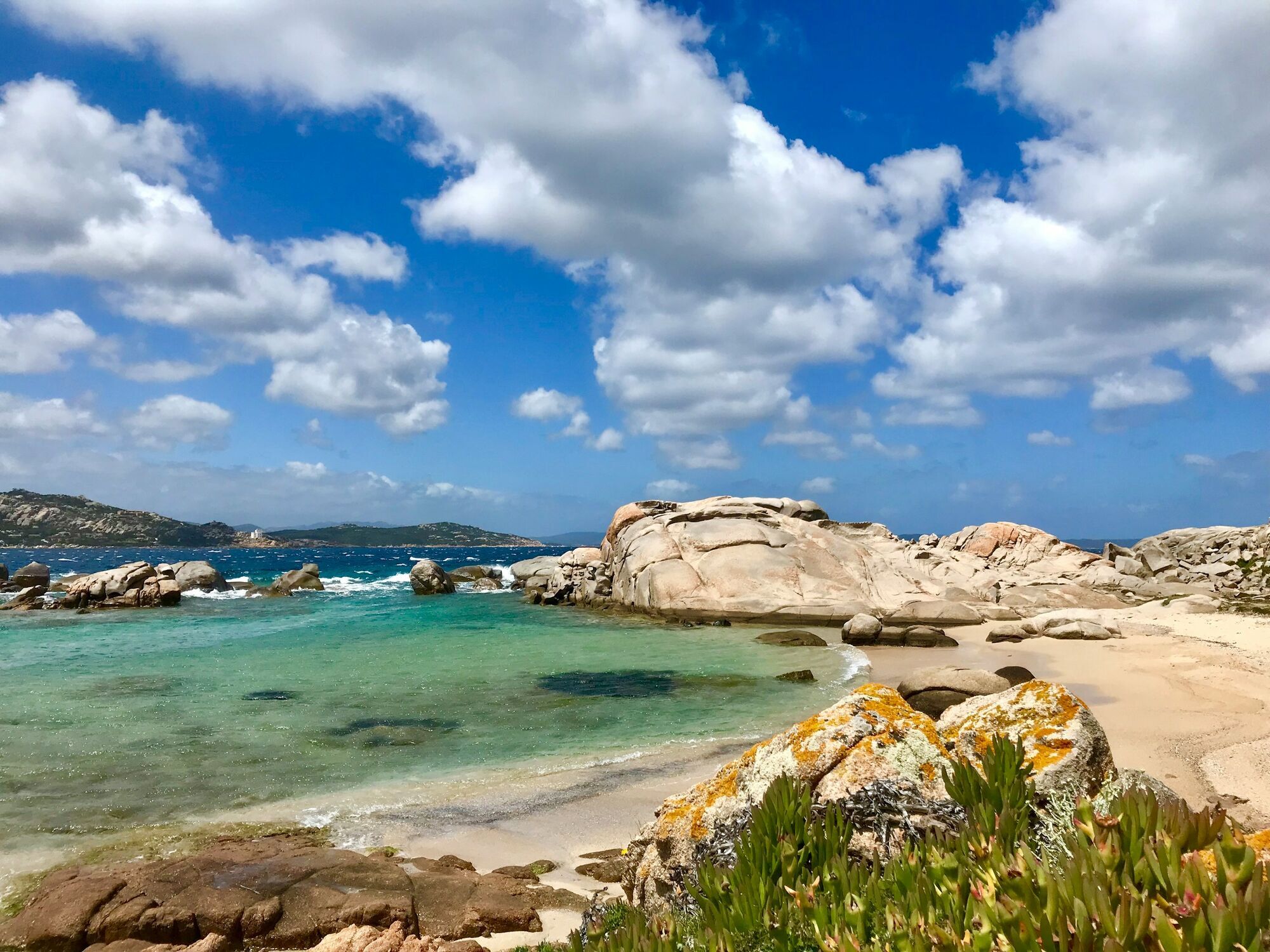 Rocky Sardinian beach with clear turquoise water and coastal plants