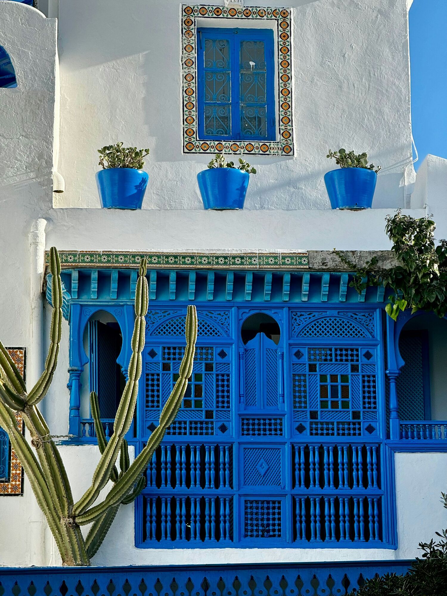 Blue-and-white Tunisian building with cactus plants