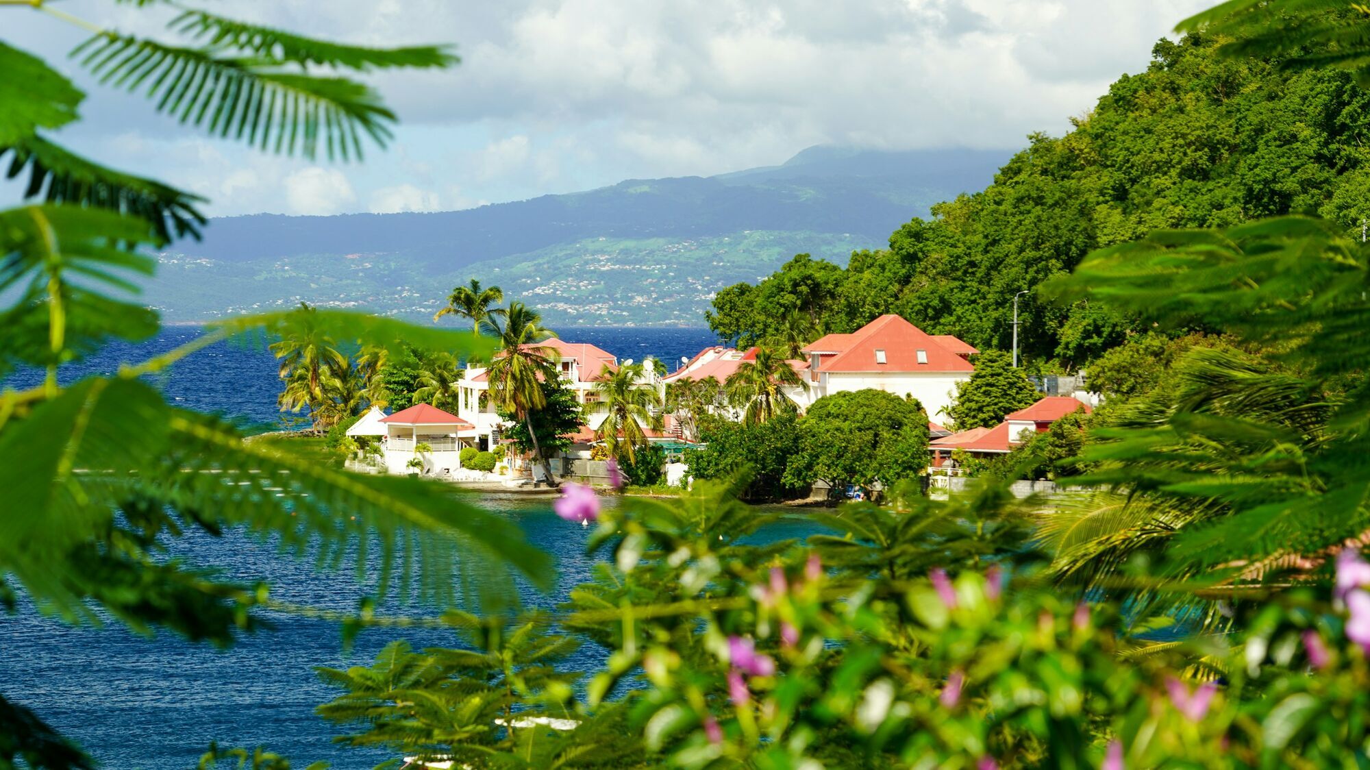 Coastline near Pointe-à-Pitre in Guadeloupe
