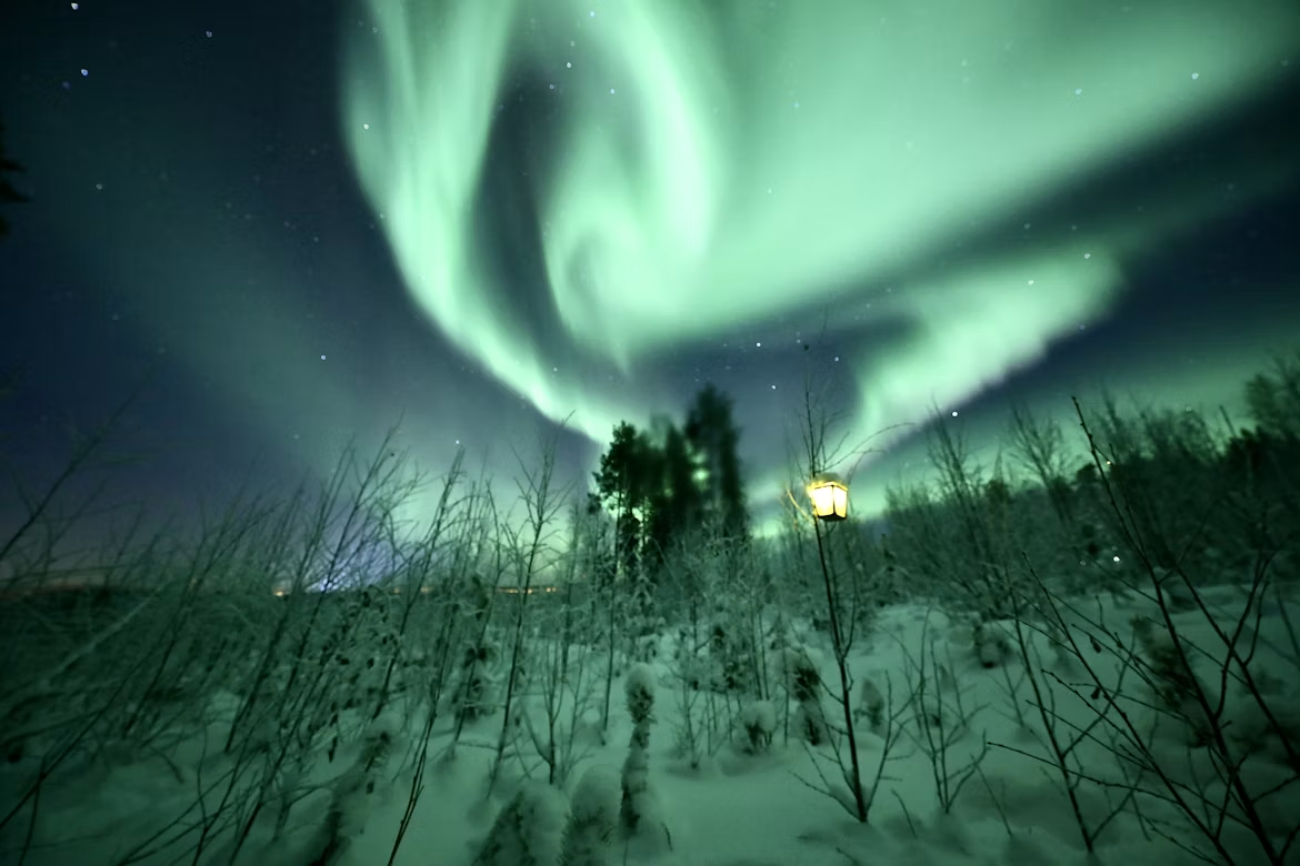 Northern Lights over snowy forest in Rovaniemi