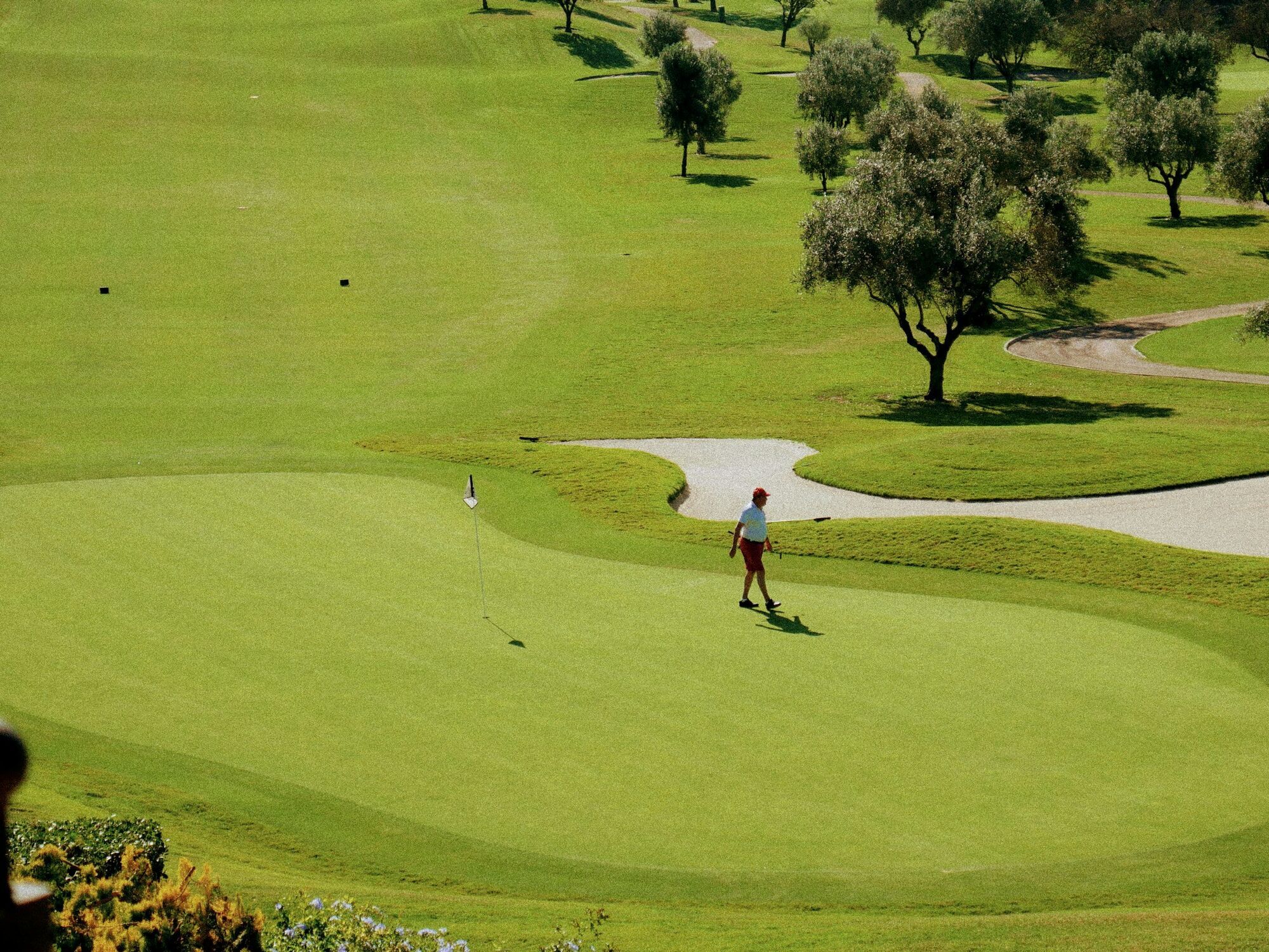 Golfer walking across a green beside a water hazard
