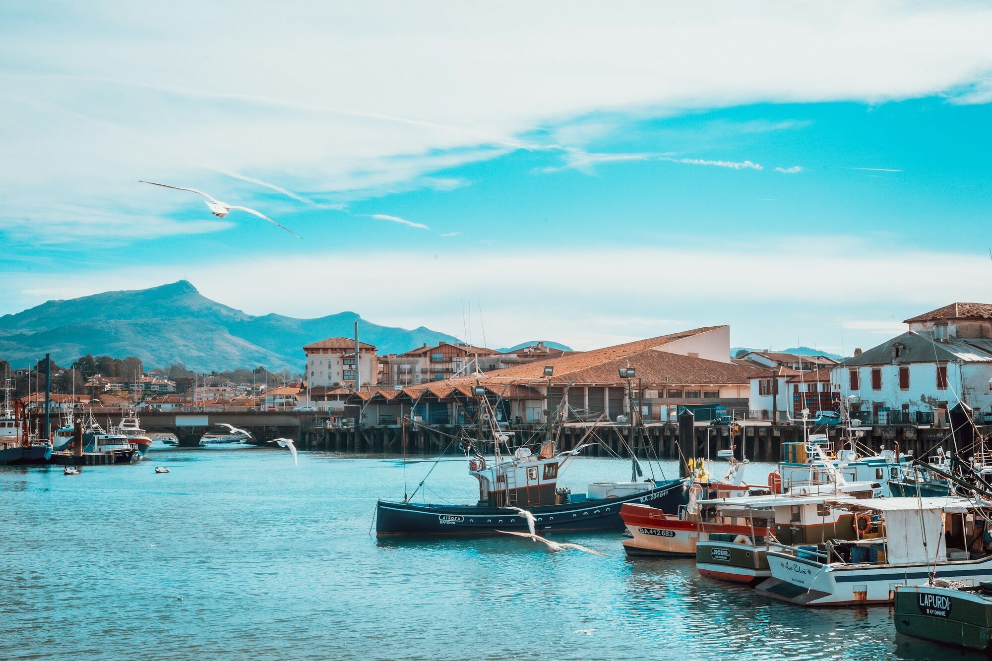 Fishing boats in a French Basque harbour