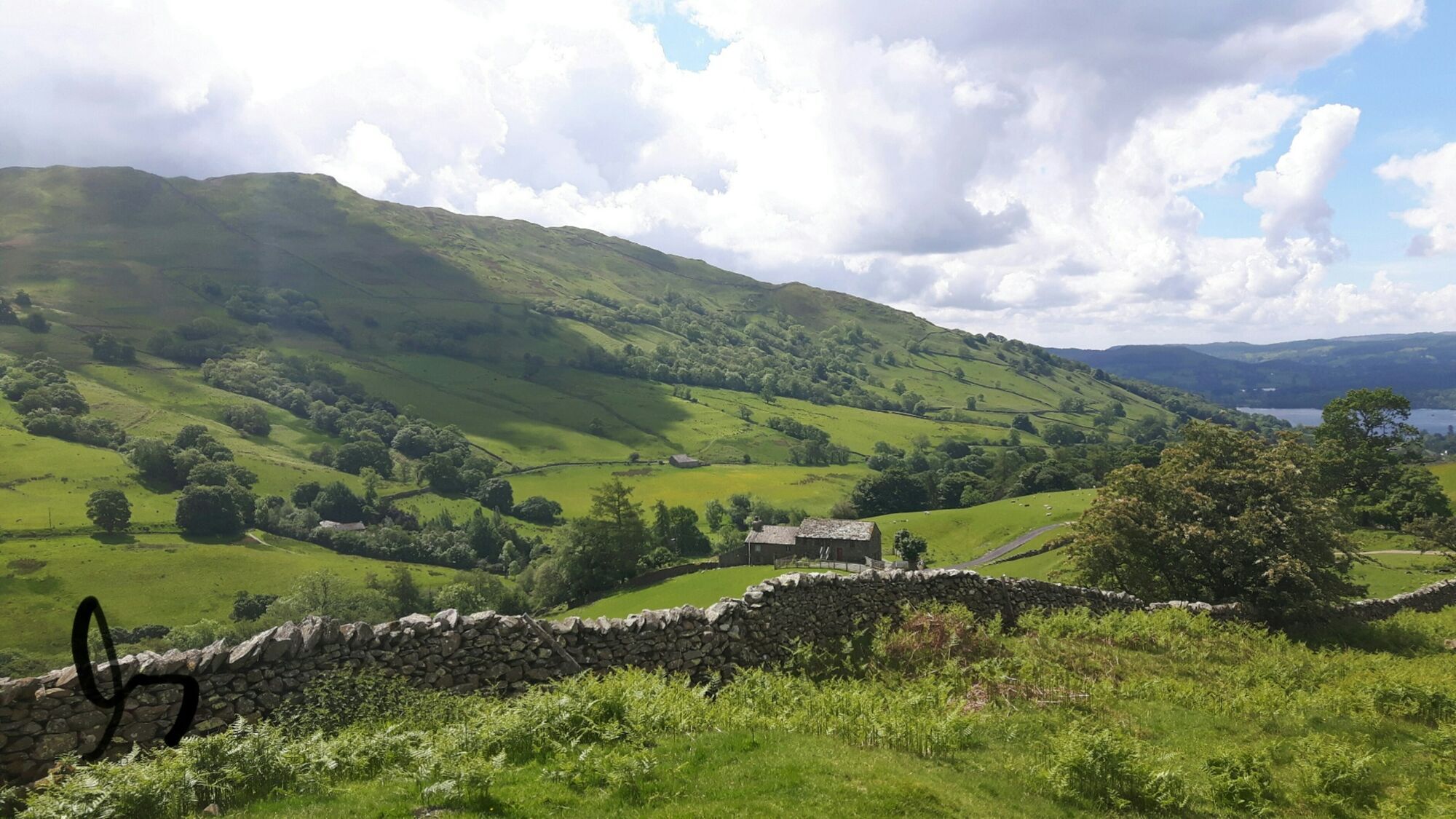 Green Cumbrian valley with dry-stone walls