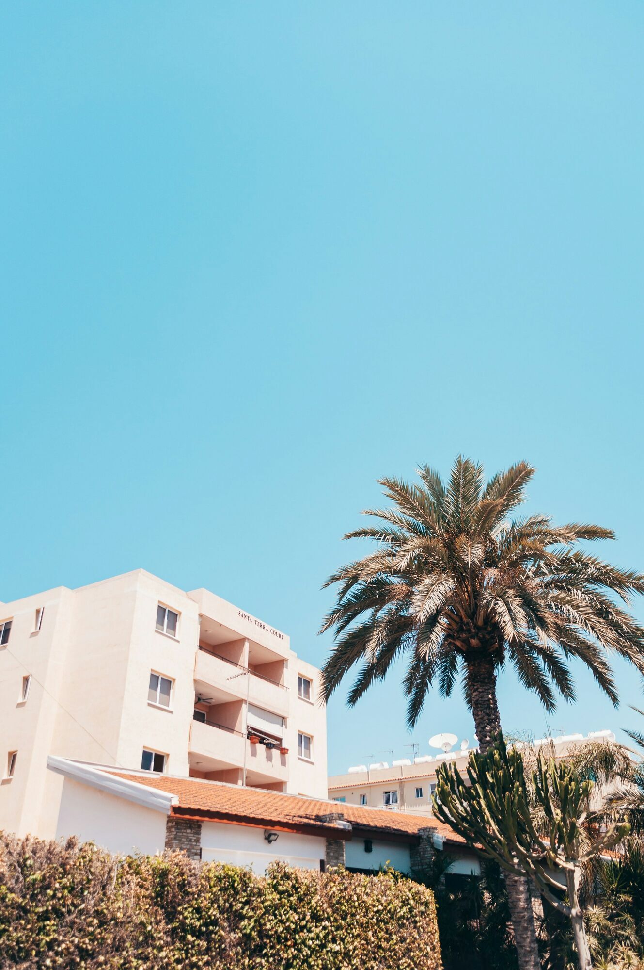 Cyprus apartment building with palm tree