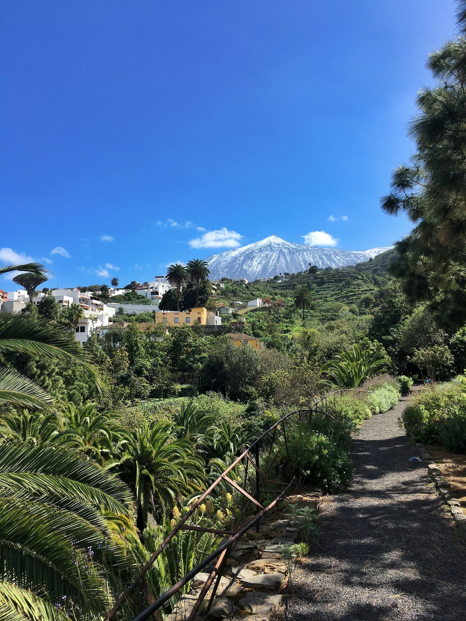 Mount Teide view with tropical gardens in Tenerife