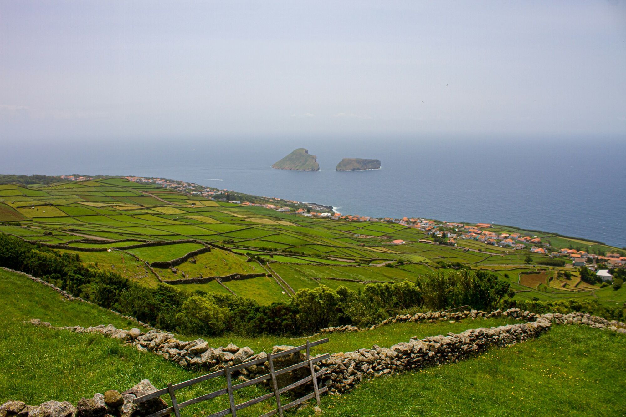 Green fields and coastline on Terceira Island