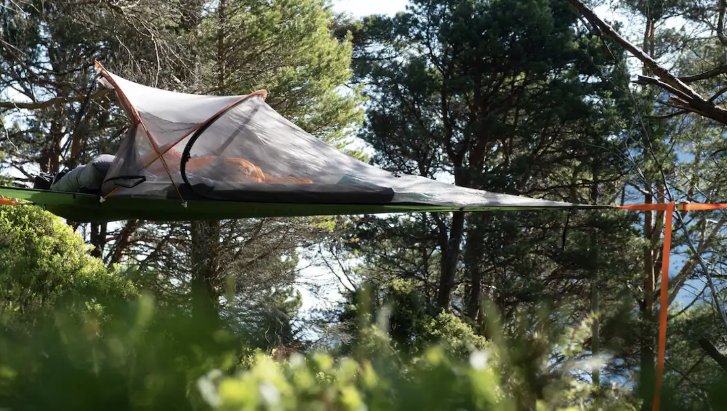 Suspended tree tent in a forest