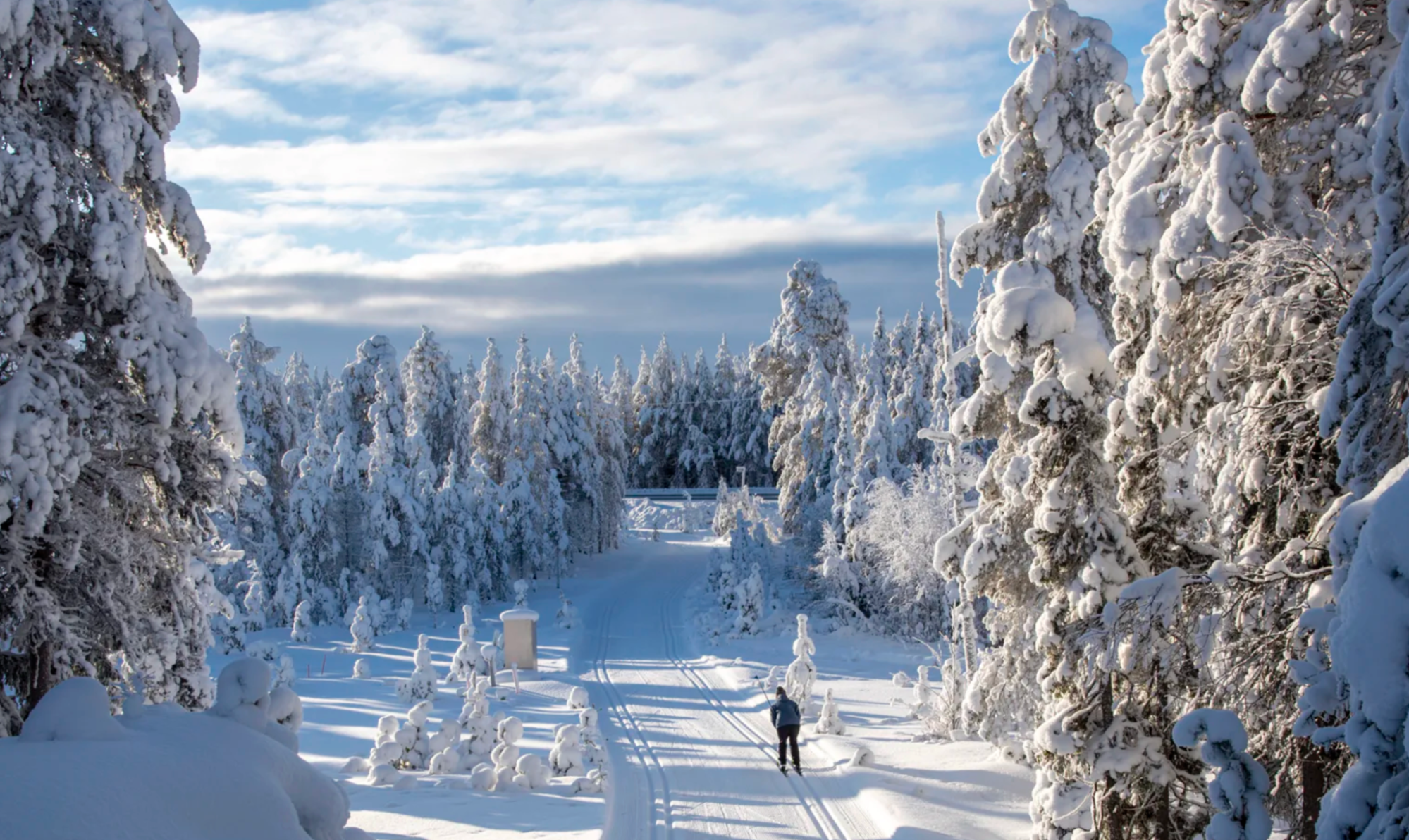 Snow-covered forest in Finnish Lapland