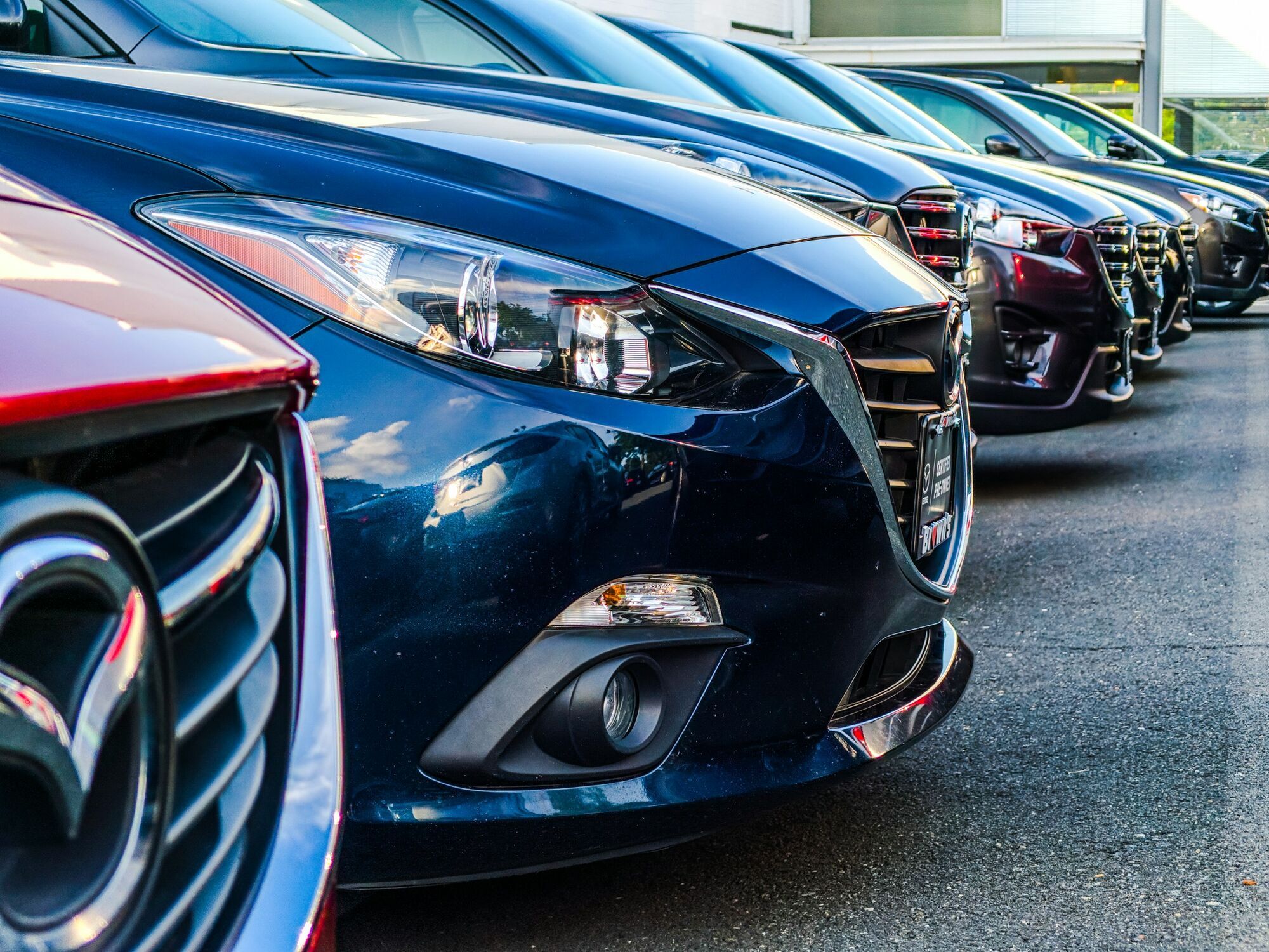 Rows of rental cars parked outside a dealership
