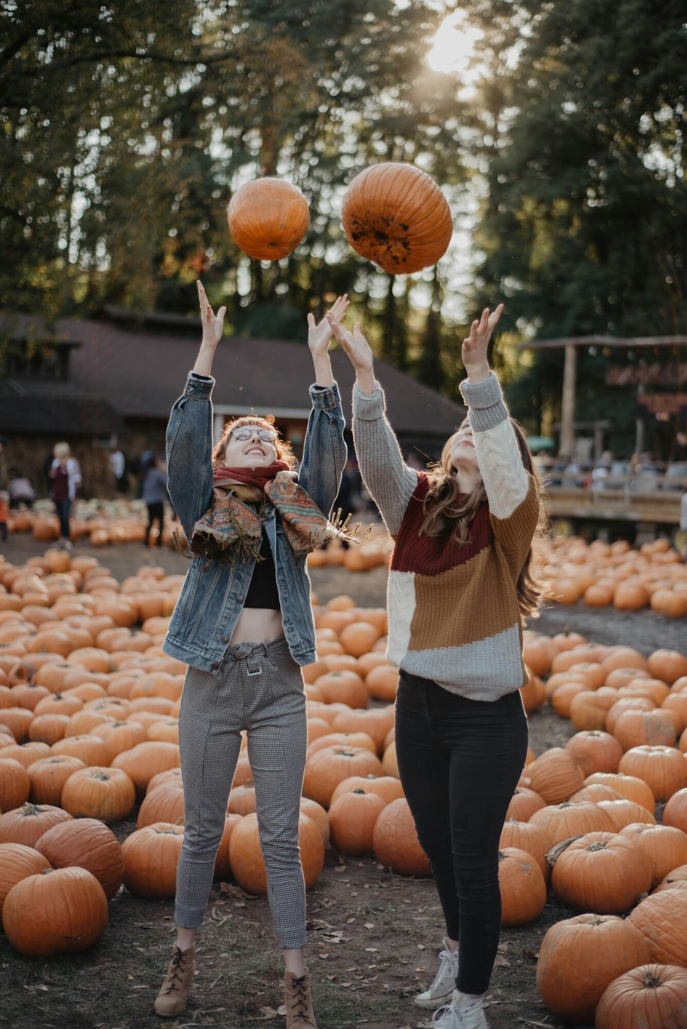Visitors tossing pumpkins at an autumn festival