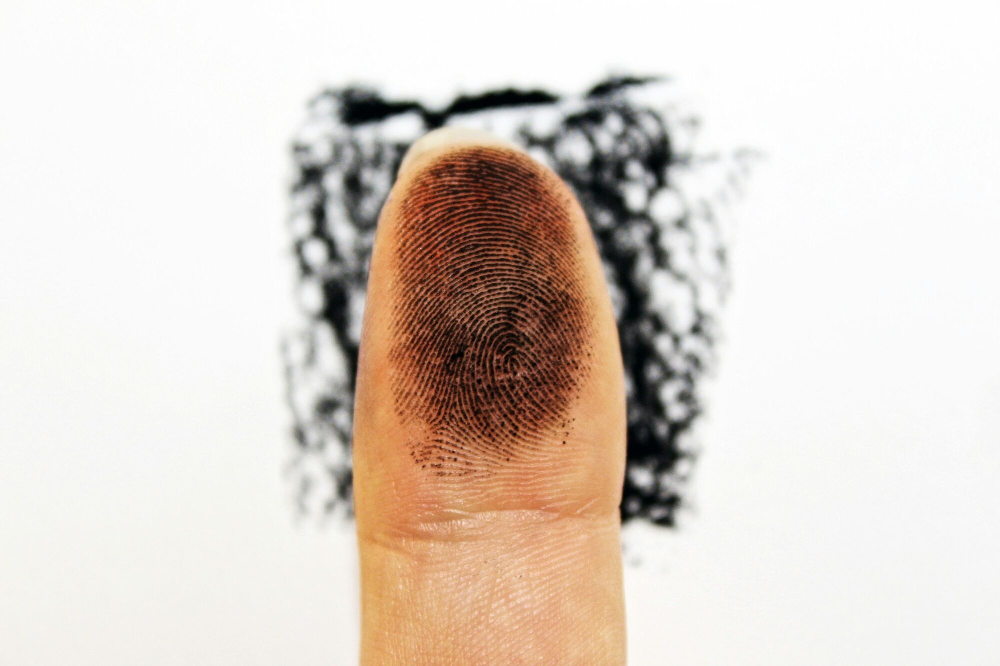 Fingerprint on a fingertip