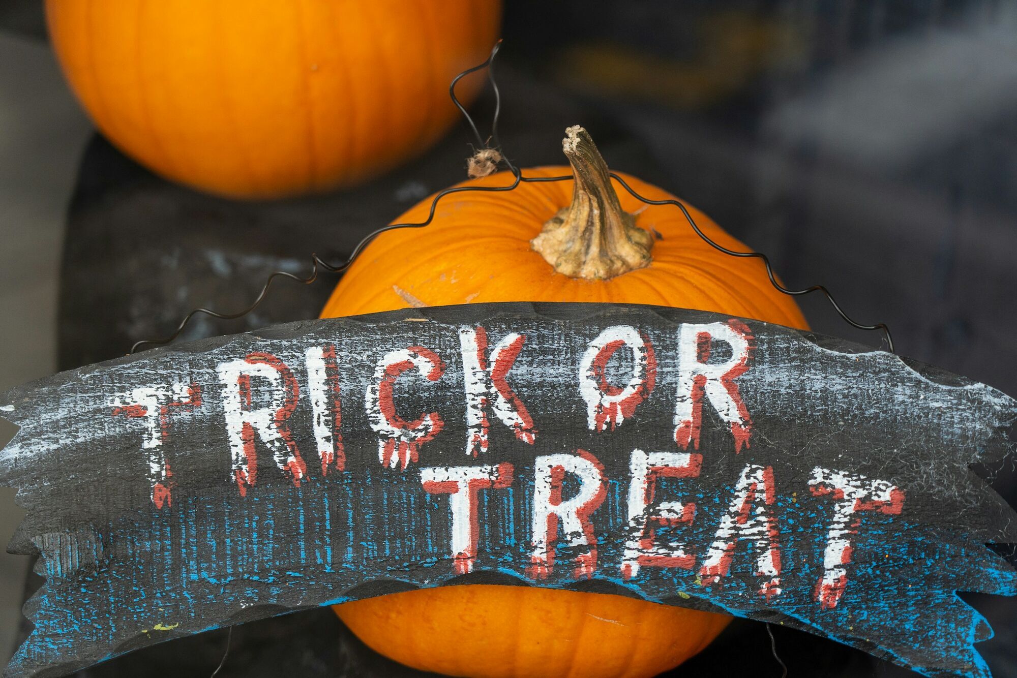 Pumpkins with trick or treat sign