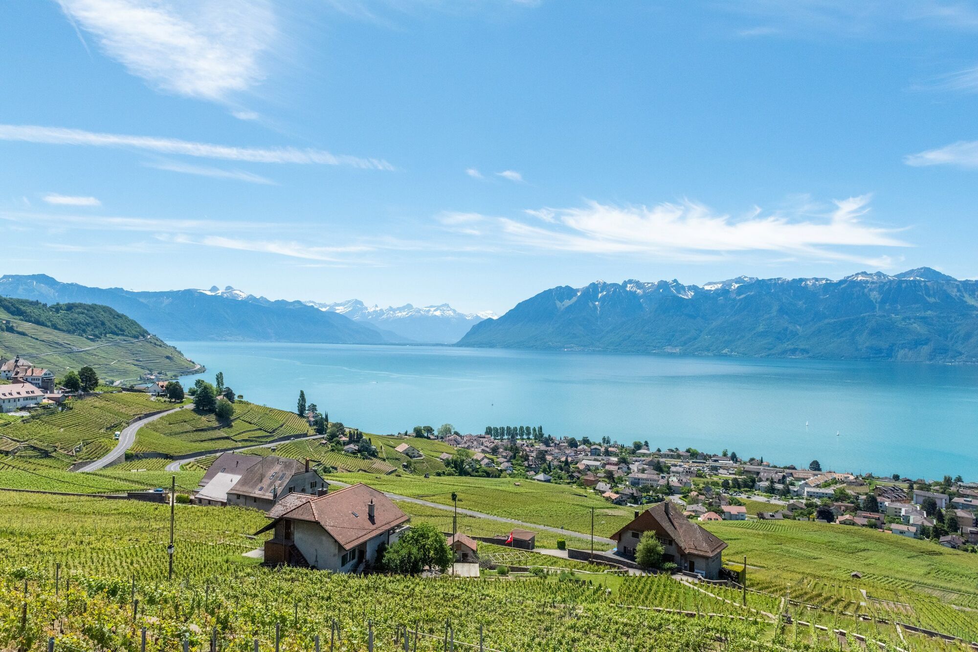 Lake Geneva and vineyards in Switzerland