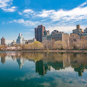 Top 10 popular parks in New York for dates, family picnics and exercise