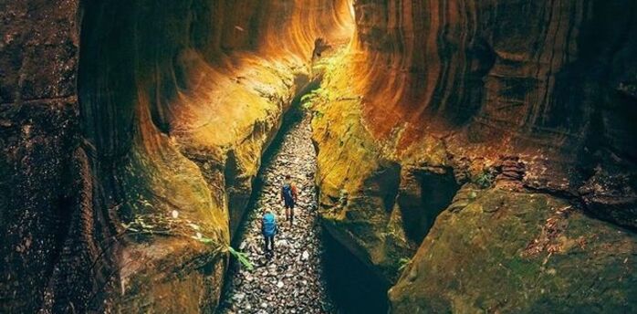 Carnarvon Gorge in Australia. The best tourist spot to walk through