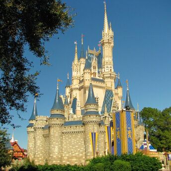 The nicest hotels in Disney World: top 23 places near the famous amusement park