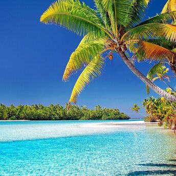 Cook Islands paradise: from water dancing and palm climbing to reef snorkeling and desert island postal service