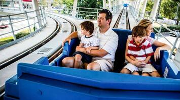 Walt Disney World Park in Florida closed due to a female black bear