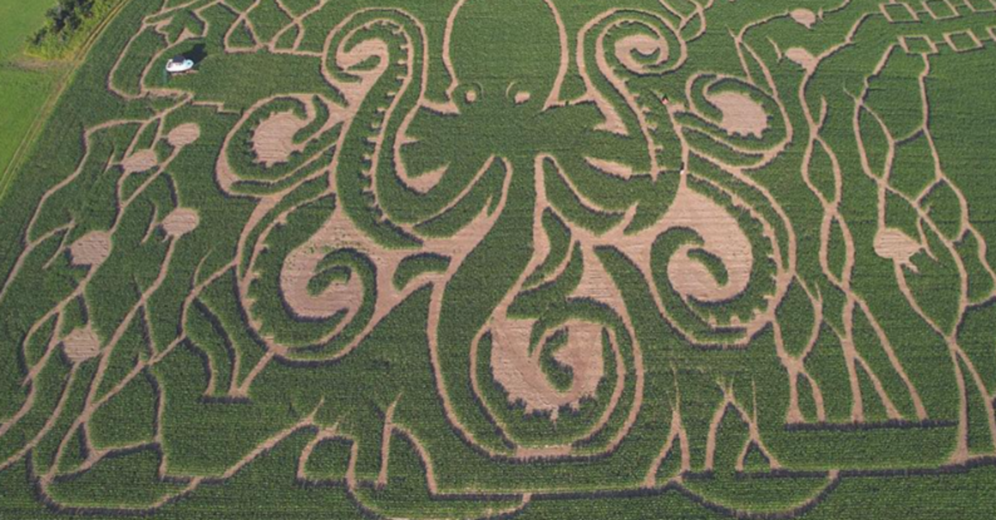 The Great Vermont Maze