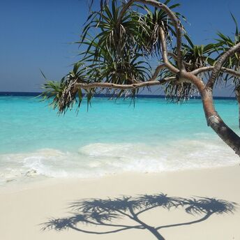 What does the resort in Albania with stunning beaches, called the "European Maldives" look like