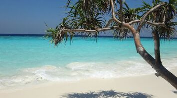 What does the resort in Albania with stunning beaches, called the "European Maldives" look like