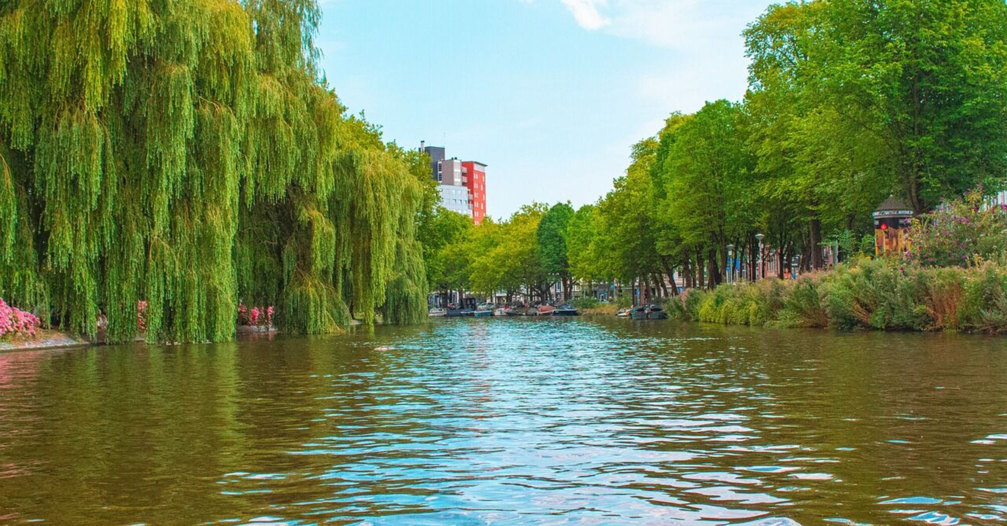 The best parks and gardens in Amsterdam: top 10 natural attractions of the capital
