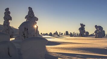 Snowy Lapland is a wonderful winter journey