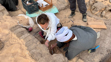 5 thousand years old wine found in Egypt