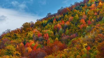 Autumn landscapes in the USA