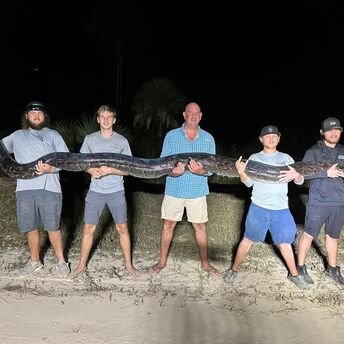 Snake hunters capture 17-foot python in Florida, which was first mistaken for an alligator