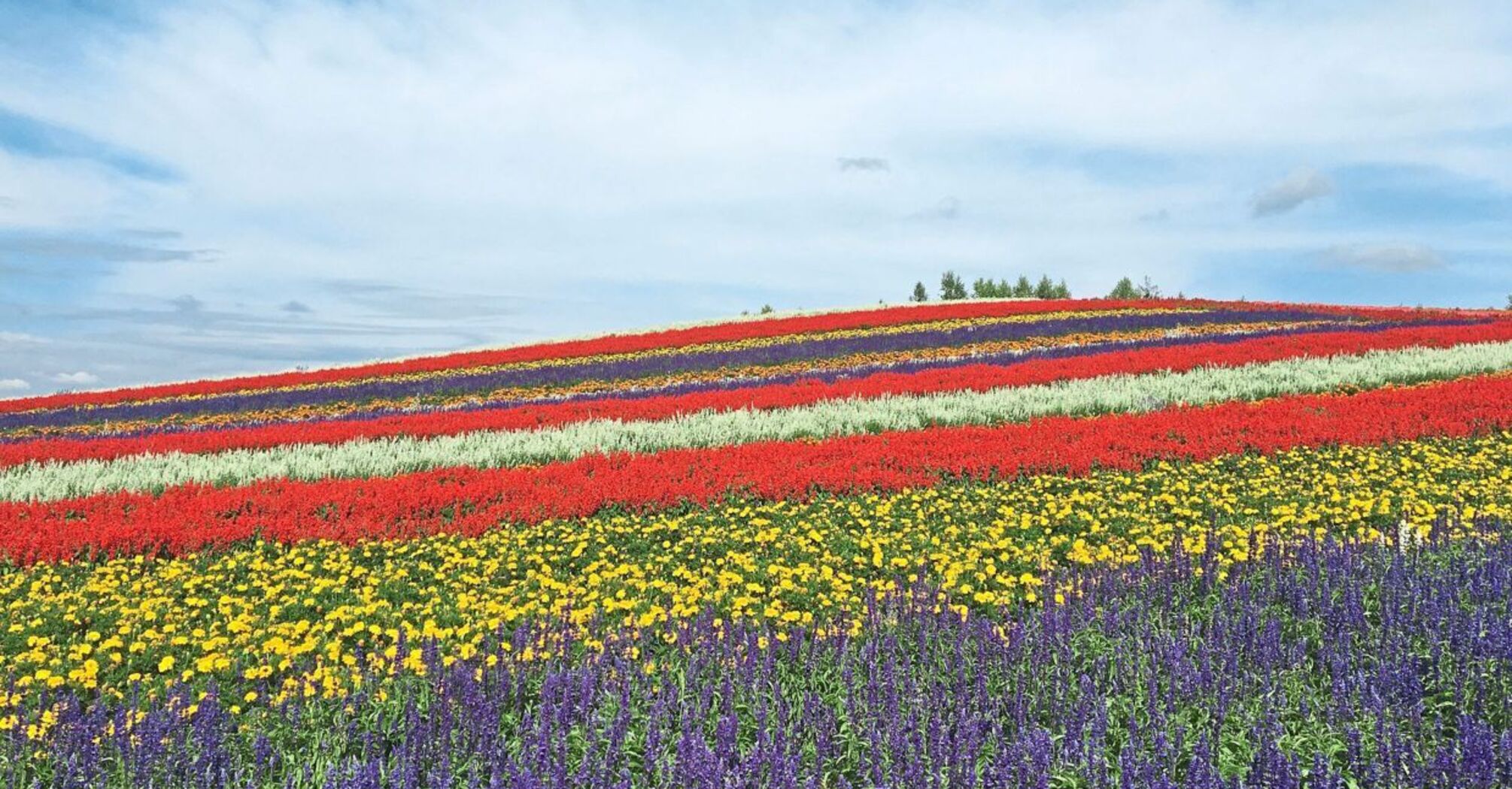 Residents of Biei, Japan, use sustainable farming methods