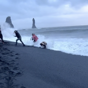 Tourists in Iceland show how dangerous "sneaker waves" can be