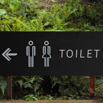 A tourist was delighted with Japanese toilets and named their main advantage